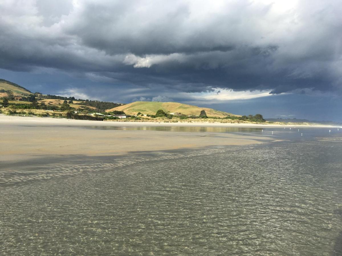 Stay In School By The Sea Dunedin Eksteriør bilde