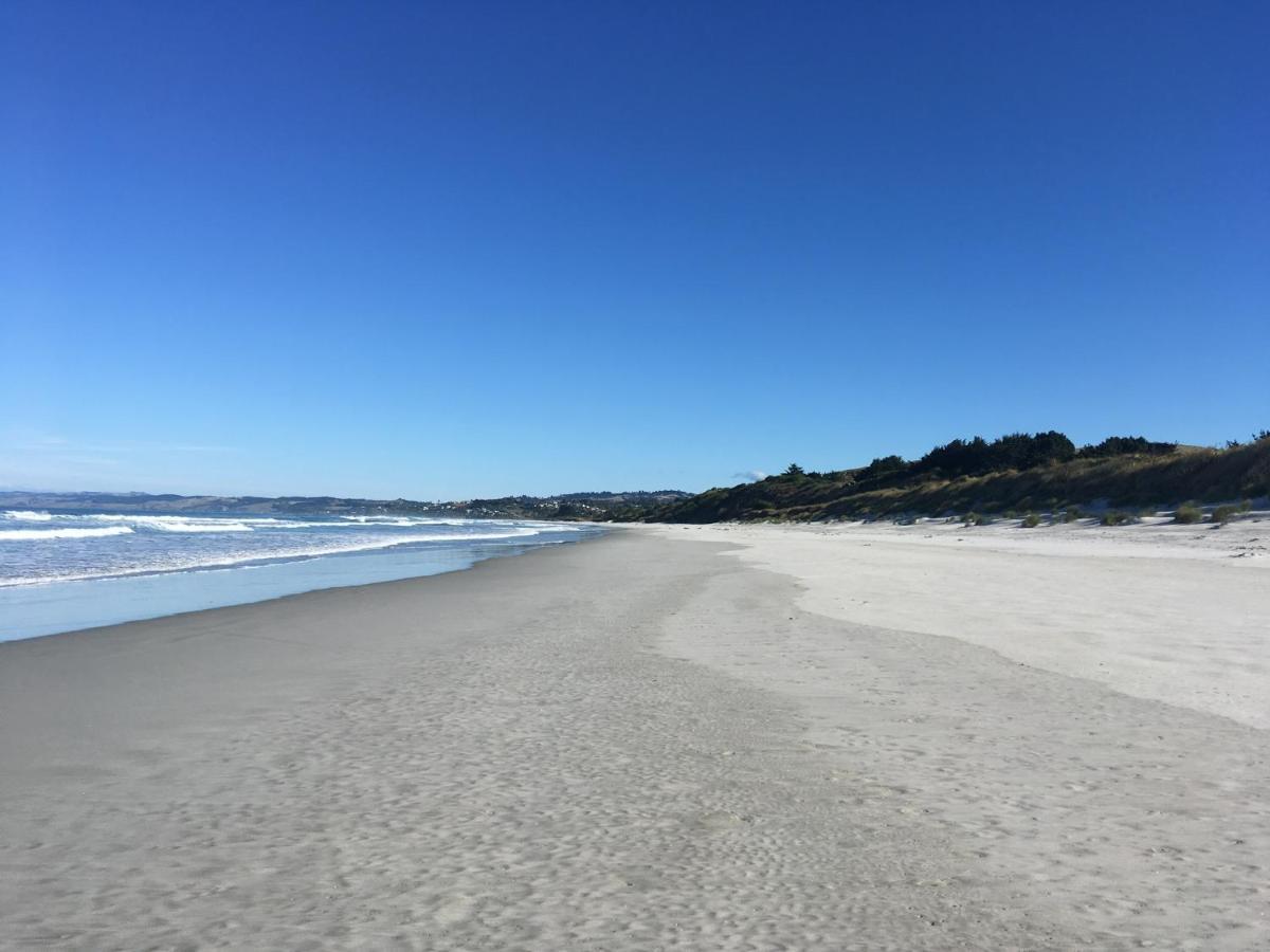 Stay In School By The Sea Dunedin Eksteriør bilde