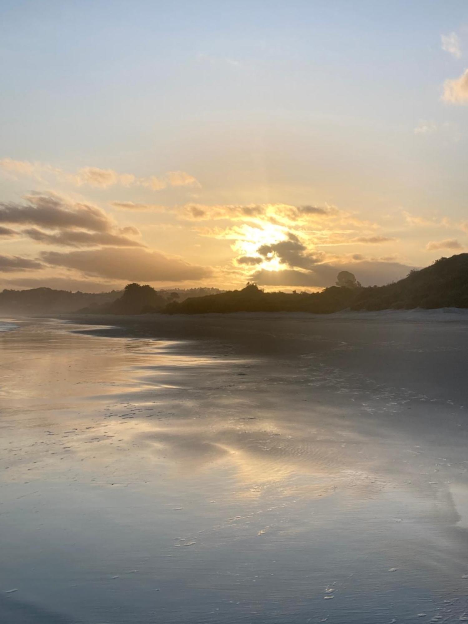 Stay In School By The Sea Dunedin Eksteriør bilde